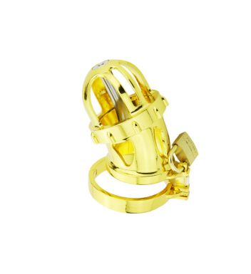 Gold Male Metal Chastity Cage