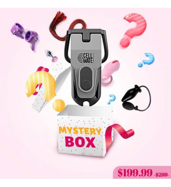 Mystery Box Valued $299+